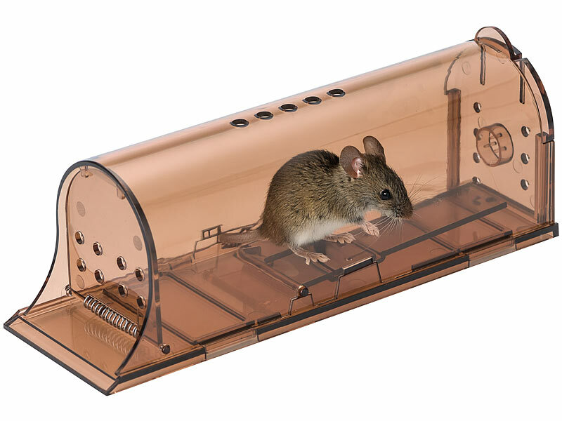 ; 2in1-UV-Insektenvernichter und Lampen, Dornengitter 2in1-UV-Insektenvernichter und Lampen, Dornengitter 2in1-UV-Insektenvernichter und Lampen, Dornengitter