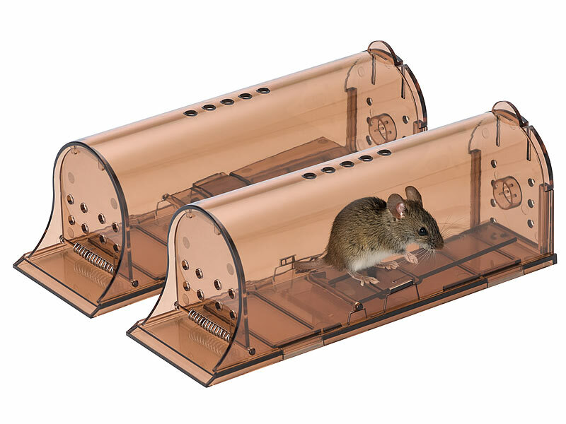 ; 2in1-UV-Insektenvernichter und Lampen, Dornengitter 2in1-UV-Insektenvernichter und Lampen, Dornengitter 2in1-UV-Insektenvernichter und Lampen, Dornengitter