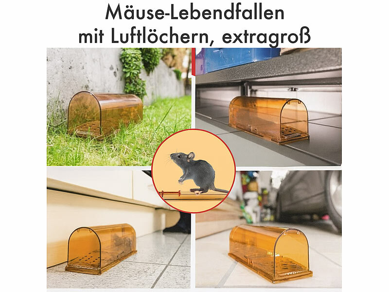 ; 2in1-UV-Insektenvernichter und Lampen, Dornengitter 2in1-UV-Insektenvernichter und Lampen, Dornengitter 2in1-UV-Insektenvernichter und Lampen, Dornengitter