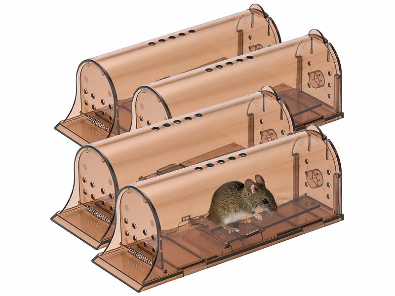 ; 2in1-UV-Insektenvernichter und Lampen, Dornengitter 2in1-UV-Insektenvernichter und Lampen, Dornengitter 2in1-UV-Insektenvernichter und Lampen, Dornengitter 